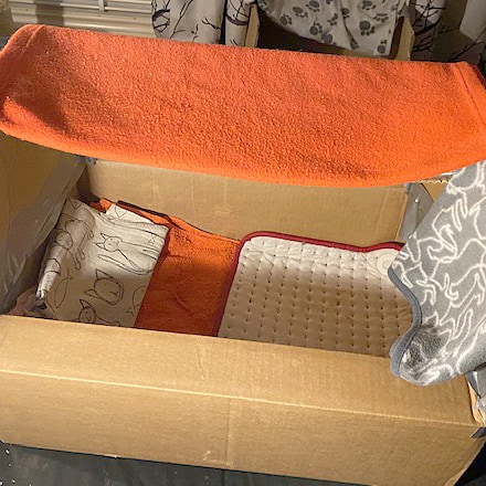 En bolåda eller födslolåda för dräktiga katter. Lådan är en inredd större kartong med orange och vita  filtar. Lådan har en orange filt över långsidan som gör att halva lådan har ett tak.